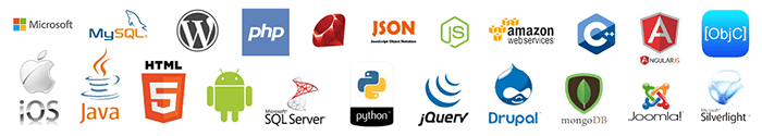 Custom Software Development - Red7Systems Logos